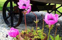 Cornwall Luxury Hot Tub Huts - Foto 20