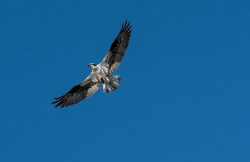 Little Diamond Island - on Private Island - Foto 21