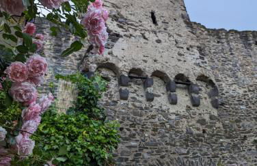 Ferienwohnung an der historischen Stadtmauer - Foto 15