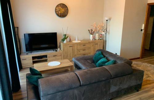 Bulwar Apartament Stare Miasto - Foto 11