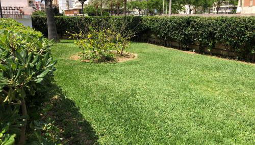 Apartamento Ca Batallera Playa Gandia - Foto 2