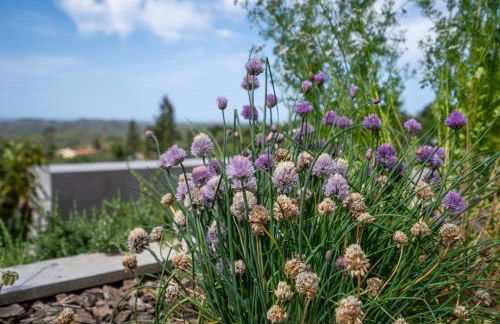 Casa da Colina - Foto 46