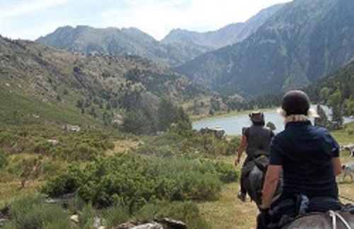 Les FEICHES et MARGUERITES - Foto 11