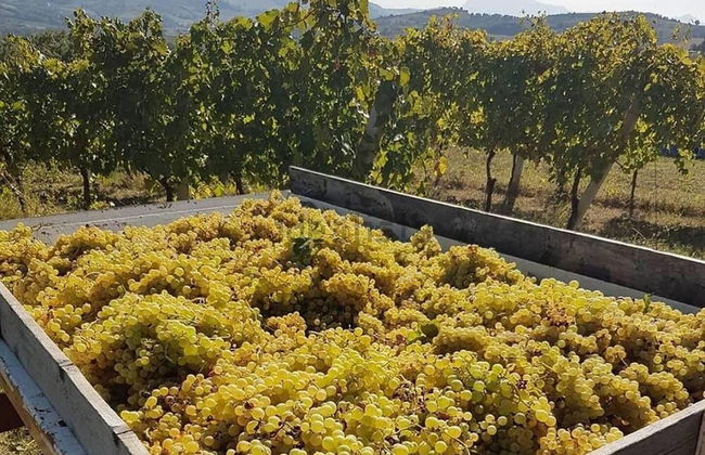 Immaculate 1bedroom Apartment in Ortezzano - Foto 7