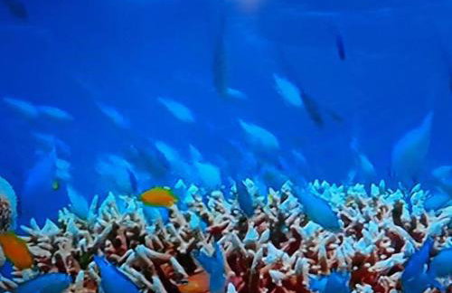 Cornwall Holiday Cabin with Hot tub & Sea view - Foto 7