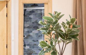 La casa de las flores - Photo 10