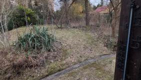 Ferienhaus mit großer Terrasse in Schöneiche bei Berlin - Foto 5, Garden