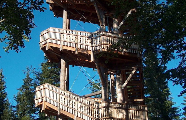 Wildnisresidenz am Nationalpark - Photo 56