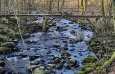 Ferienwohnung im Westerwald - Foto 31
