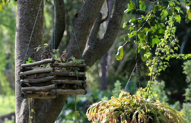 Waterland - Photo 79