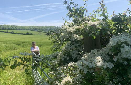 Welsh Cottage - Foto 36