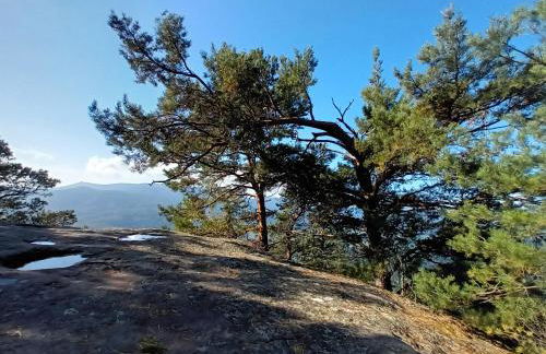 Le Kesbel entre Strasbourg et Colmar en centre Alsace - Foto 39