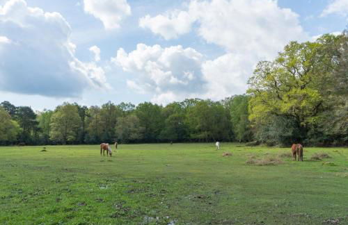 Wonderful thatched cottage in the New Forest National Park - Photo 17