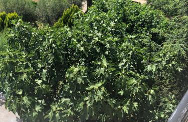 Stancieta Ulrihi - Foto 10