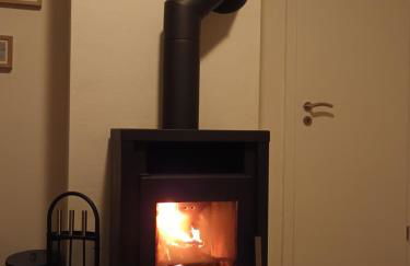 Strandrose - Foto 15