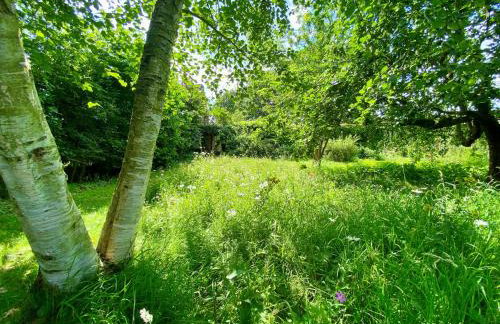 Moat Cottage, Newby Hall, Ripon, North Yorkshire - Foto 8