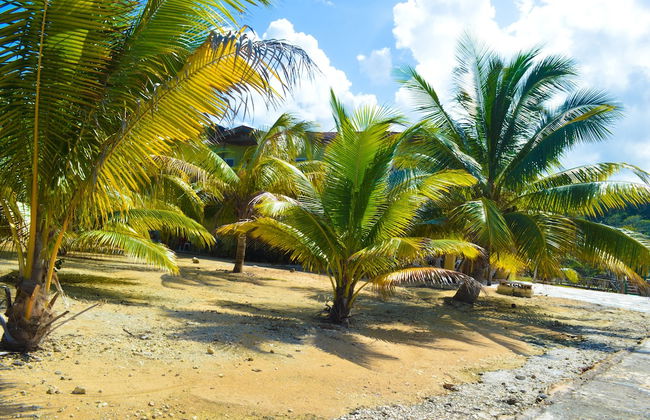 Le Mer Guest House & Villa - Lucea - Photo 30