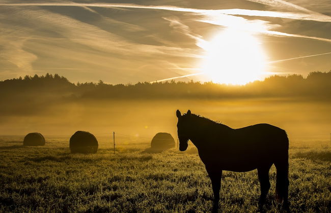 Bad Sonnenland - Foto 42