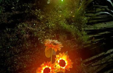 Majestic Cottage Estate with Indoor Heated Pool - Foto 48