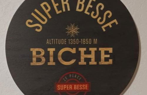 STUDIO DE LA BICHETTE - Photo 20