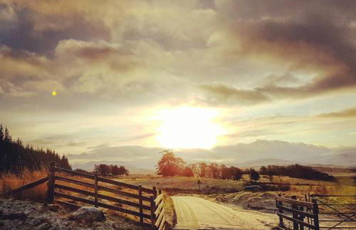 Baltinna West - by Where Stags Roar - Foto 27