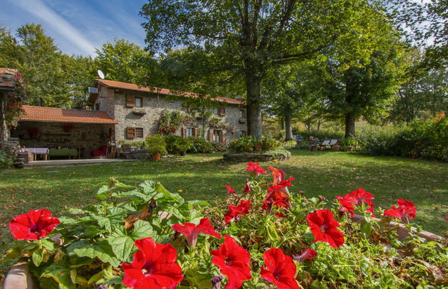 I 3 Faggi - Photo 36