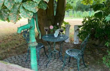 Apartment mit romantischem Garten an der Märchenstraße! - Foto 13