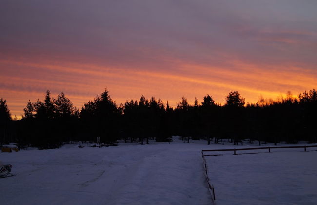 Myrkulla Lodge - Foto 21