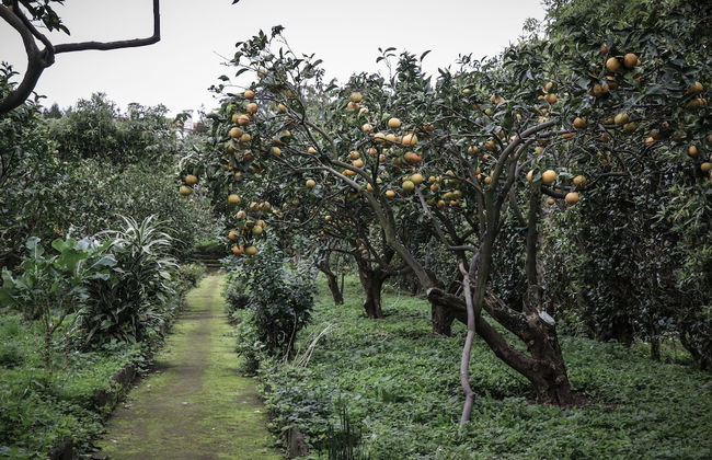 Casa do Pico da Pedra - Foto 1
