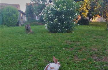 Villa Zene - Foto 46