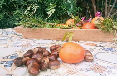 Finca rural House Tenerife Relax And Enjoy - Foto 33