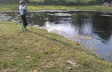 Amish Country Stay w/ Buggy Ride - Foto 40