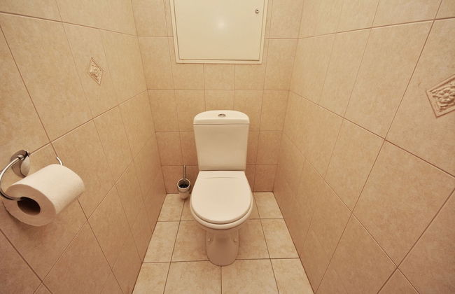 Olga Apartments on Khreschatyk - Foto 28