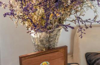 Duplex Penthouse Private Pool in Salvador - SSA008 - Foto 10