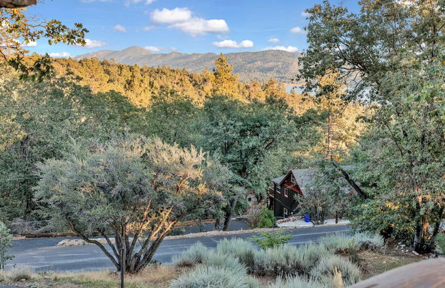 Piney Ridge Dome Home #2168 - Foto 21