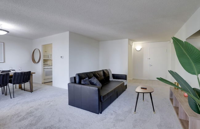 Charming Elegance Crystal City Apartment - Foto 29