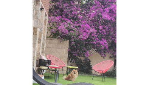 Torre con vistas - Photo 2