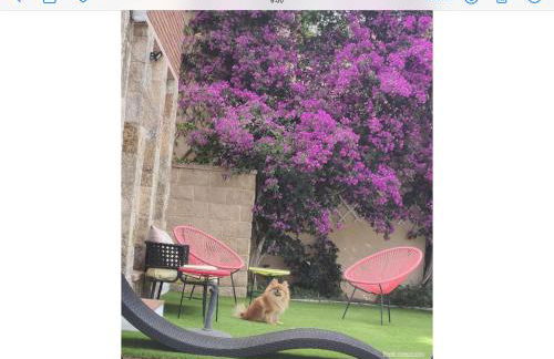 Torre con vistas - Photo 2