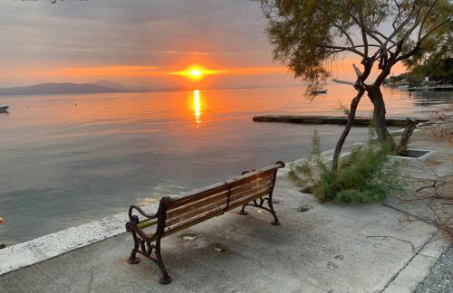 Horto Bay Studios - Foto 27