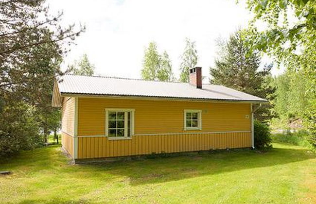 Keltavuokko - Foto 19