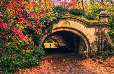 Brooklyn Beautiful Studio Apartment - Foto 30