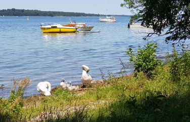Ferienwohnung am Schweriner See - Foto 21