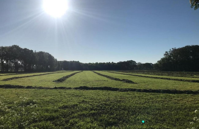 Holiday Home in Holten Near Lake Ijssel - Foto 22