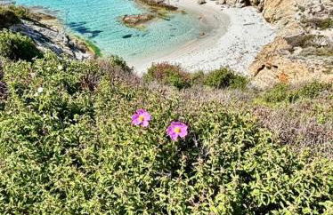 Vistamare Locations avec Piscine saint florent - Foto 11