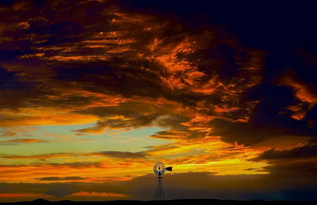 Amazing Historic 1800s Carriage House - Foto 32