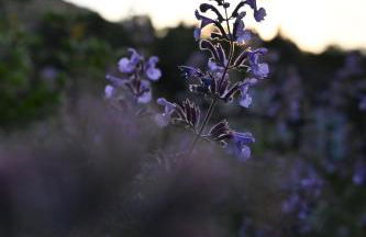 Ferienhaus Christo - Foto 6