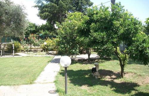 Il Giardino degli Ulivi - Foto 22