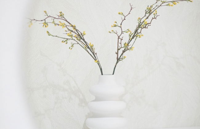 Carine 1 in San Cristobal de La Laguna - Foto 7