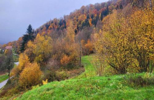 Holiday Home in Vosges with Garden and BBQ - Foto 27