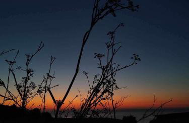 Thea Vouno Studios - Foto 33